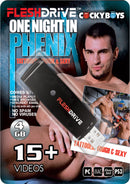 FD ONE NIGHT IN PHENIX  (DISC)